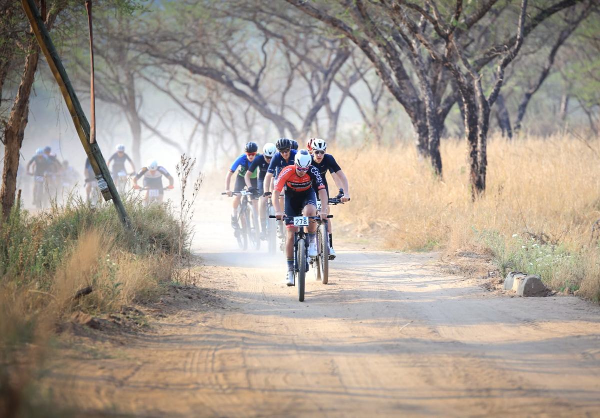 A bunch of mountain bikers riding out of the dawn mist on a dirt road between trees